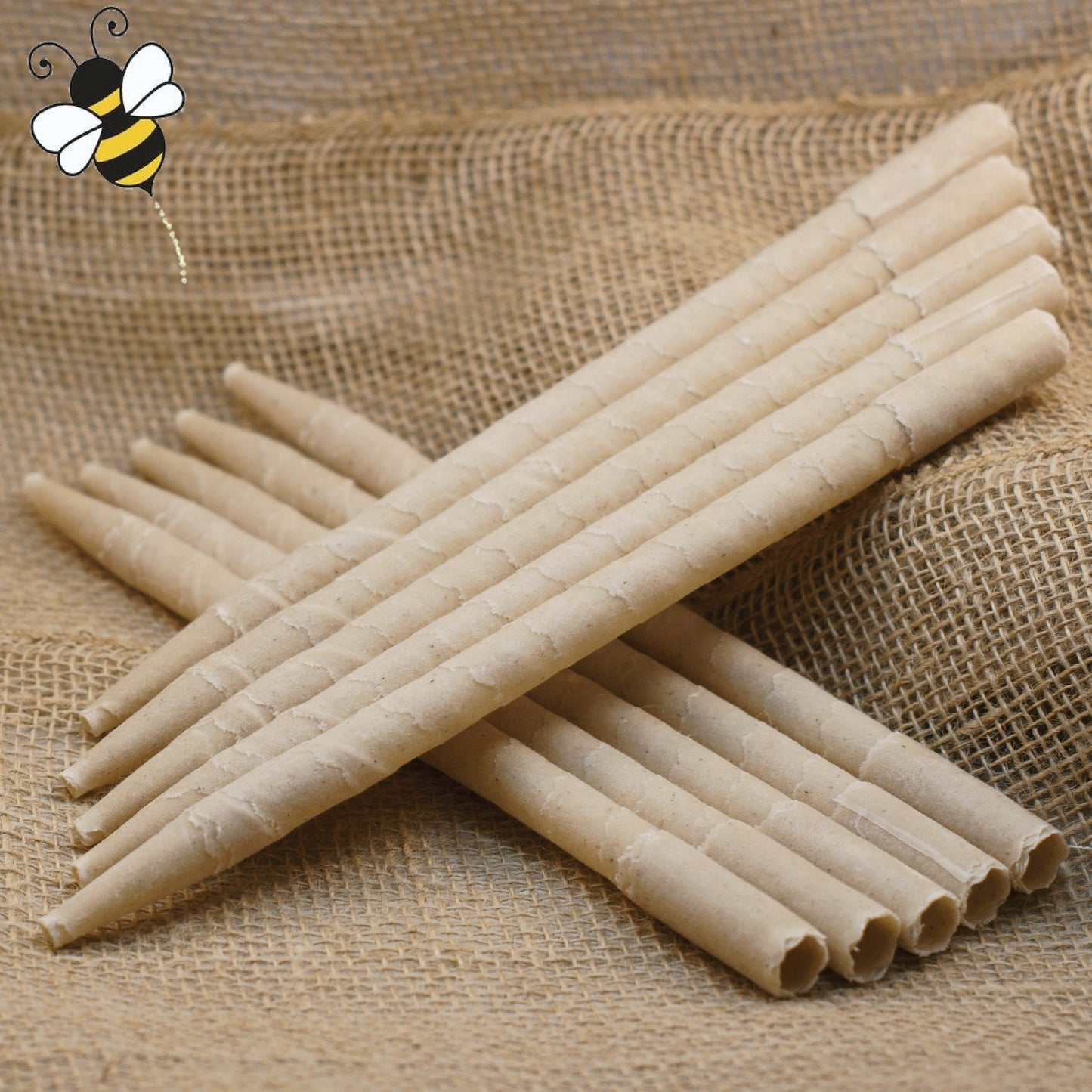 Ear Candles 10pk Beeswax - All Natural No Additives - Made in the USA
