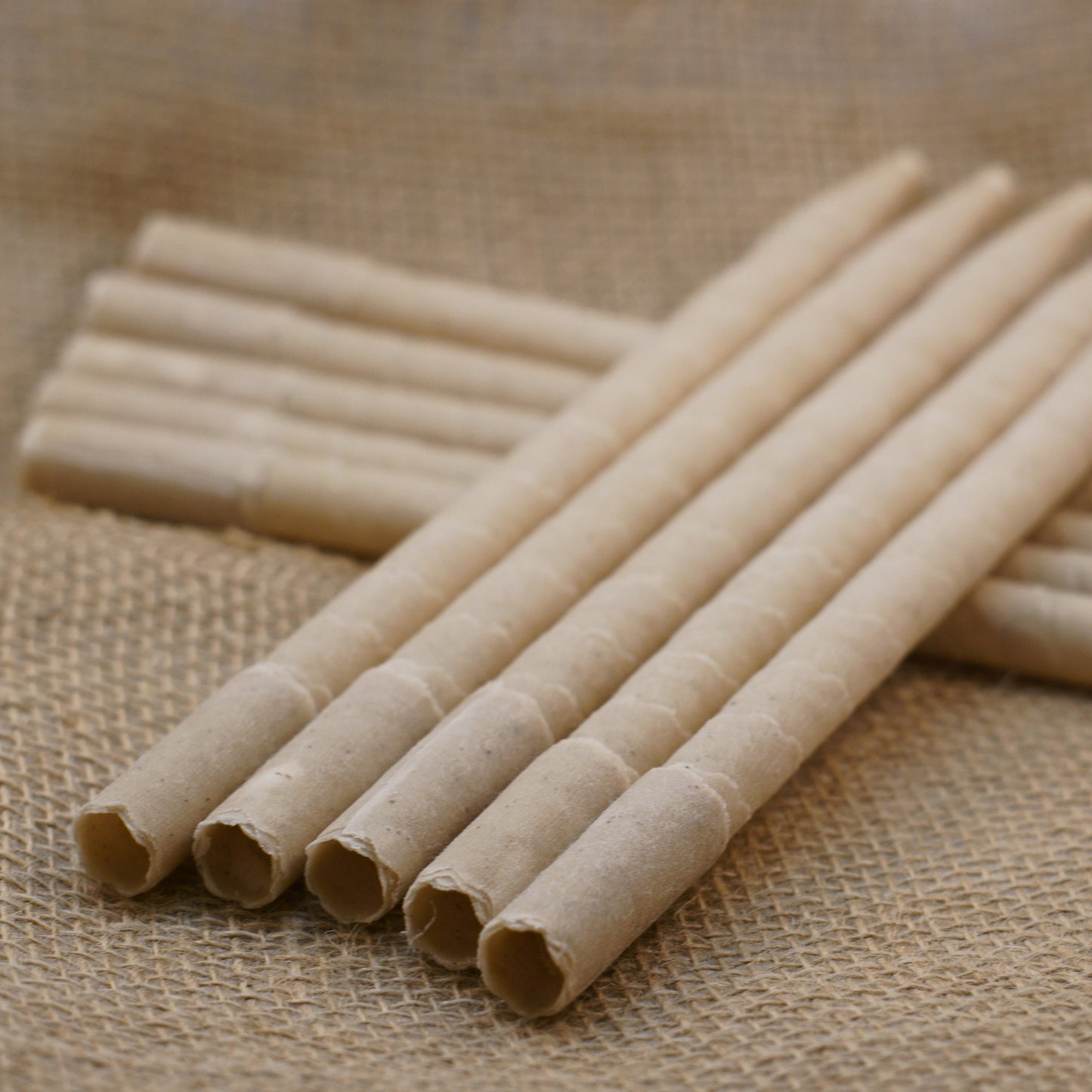 Ear Candles 10pk Beeswax - All Natural No Additives - Made in the USA