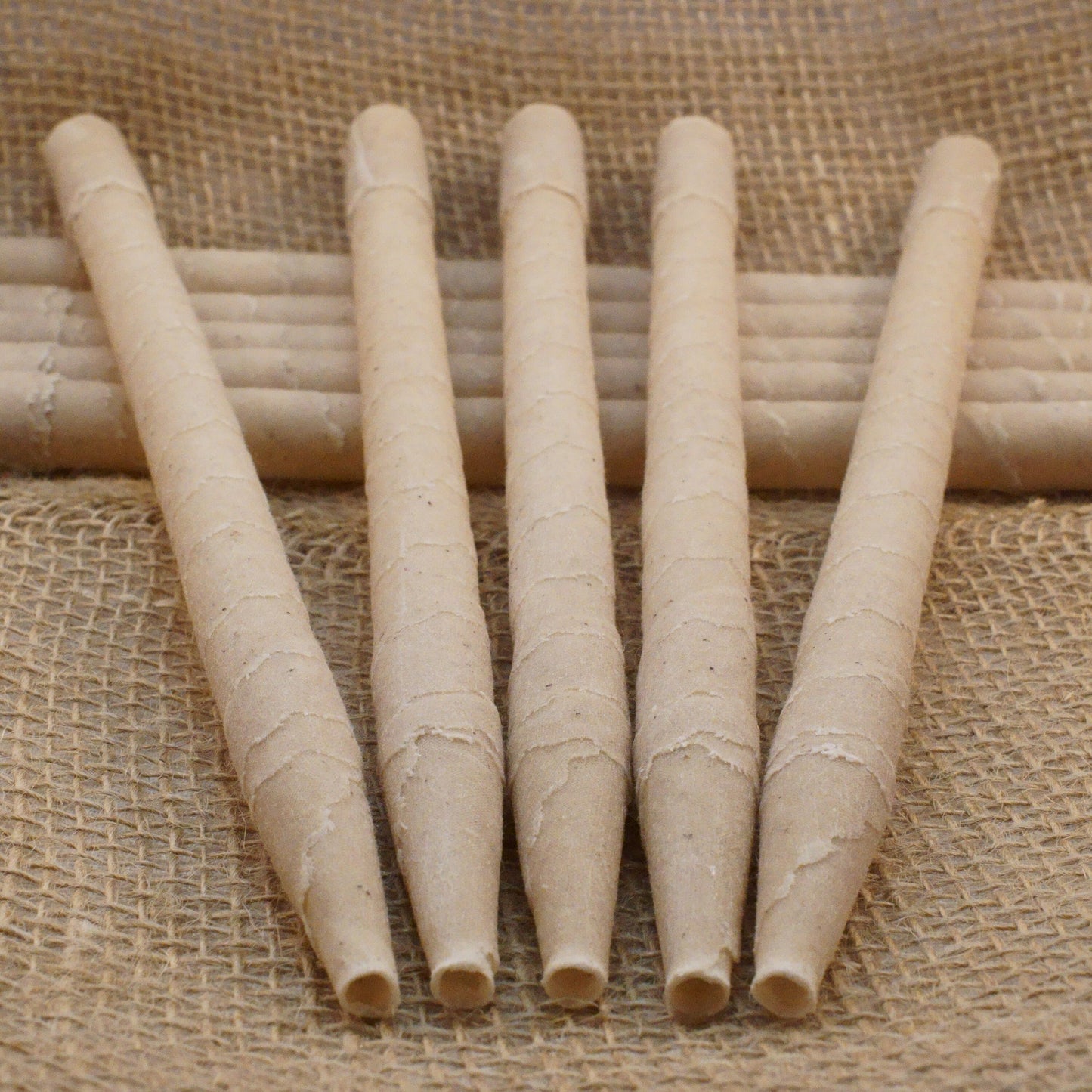 Ear Candles 10pk - Paraffin Wax Cones Cylinders for Ear Candling - Made in the USA